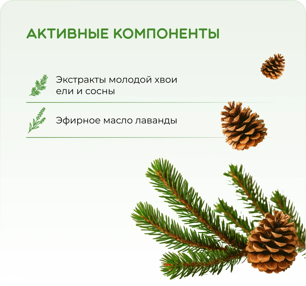 Хвойные сны